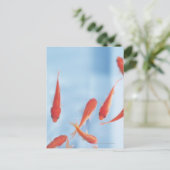 Goldfish 2 postkarte (Stehend Vorderseite)
