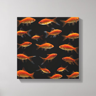 Goldfish 3 leinwanddruck