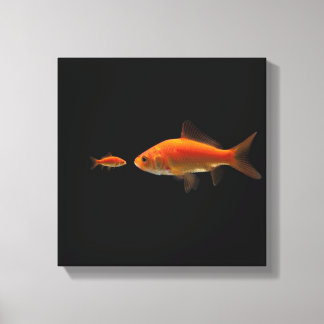 Goldfish 3 leinwanddruck