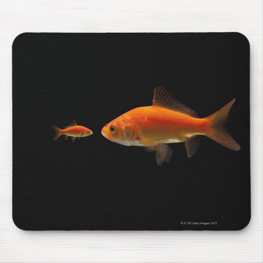 Goldfish 3 mousepad (Vorne)