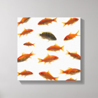 Goldfish 4 leinwanddruck