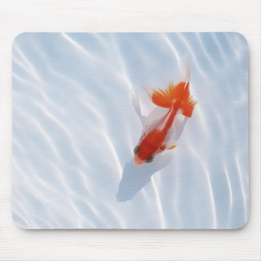 Goldfish 5 mousepad (Vorne)