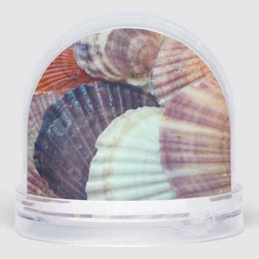 Goldfish and Seashells Snow Globe Schneekugeln (Rückseite)