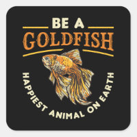 Goldfish be a Goldfish Aquarium Animal Funny Fish