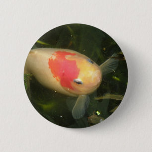 Goldfish Button