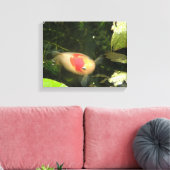 Goldfish Canvas Print Leinwanddruck (Insitu (Wohnzimmer))