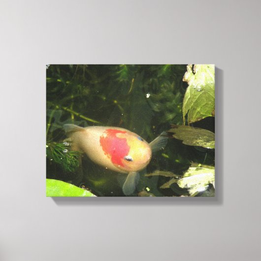 Goldfish Canvas Print Leinwanddruck (Vorderseite)