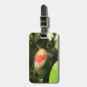 Goldfish Custom Luggage Tag Gepäckanhänger (Vorderseite vertikal)