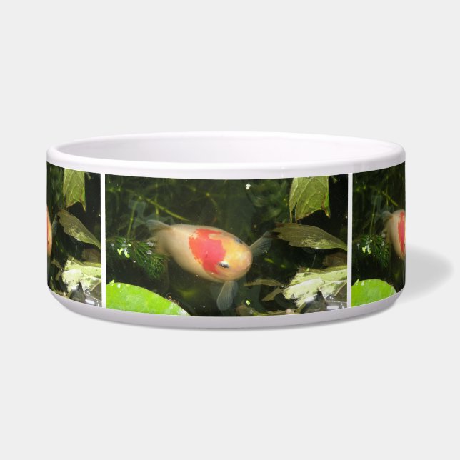 Goldfish Dog Bowl Napf (Vorderseite)