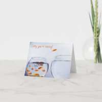Goldfish entkommt gefalteter Grußkarte