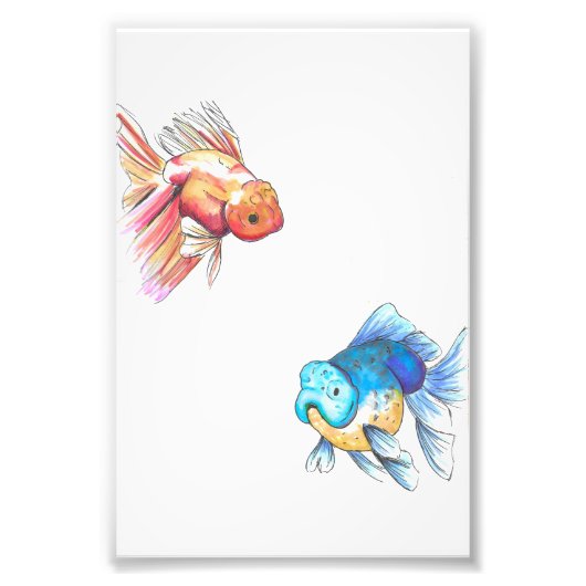 Goldfish-Farbdruckerei Fotodruck (Vorne)