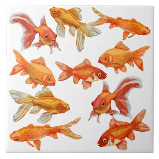 Goldfish Fliese (Vorderseite)