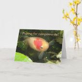 Goldfish Funny Grußkarte Karte (Gelbe Blume)