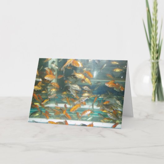 "Goldfish" Get Well Card Karte (Vorderseite)