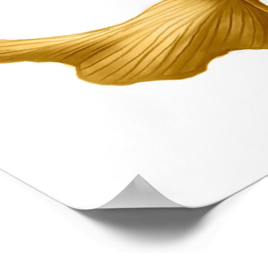 Goldfish-Goldfish-Print Poster (Ecke)