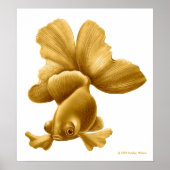 Goldfish-Goldfish-Print Poster (Vorne)