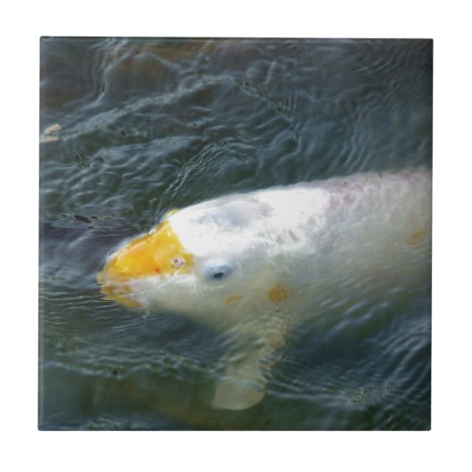 Goldfish im See Fliese (Vorderseite)