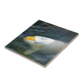 Goldfish im See Fliese (Seite)