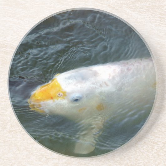 Goldfish im See Getränkeuntersetzer (Vorne)