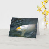 Goldfish im See Karte (Gelbe Blume)