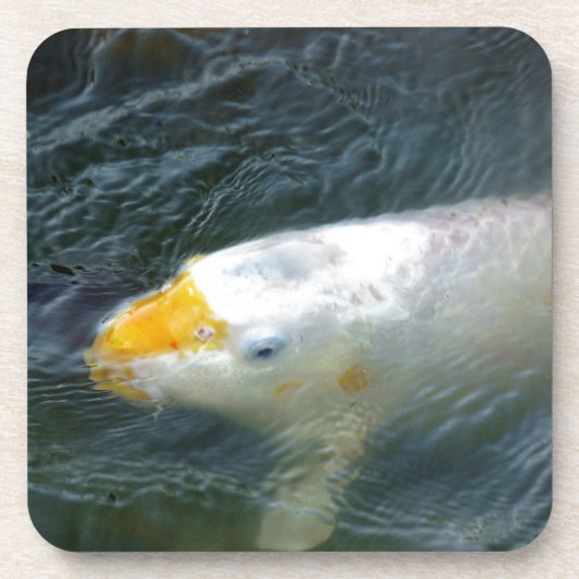 Goldfish im See Untersetzer (Vorderseite)