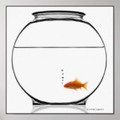 Goldfish in bowl poster (Vorne)