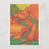 Goldfish - Koi Postkarte (Vorderseite)