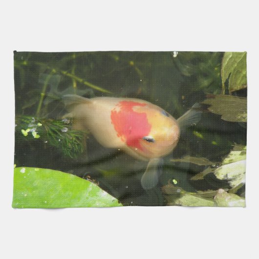 Goldfish Küchentücher (Horizontal)