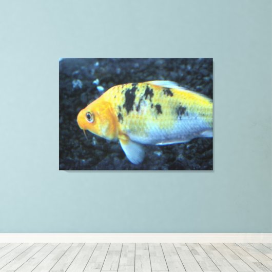 Goldfish-Leinwand Leinwanddruck (Insitu (Holzboden))