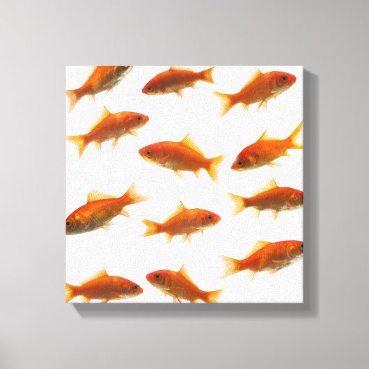 Goldfish Leinwanddruck (Vorderseite)