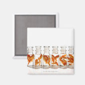 Goldfish Magnet (Vorderseite/Rückseite)