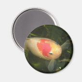 Goldfish Magnet (Vorderseite/Rückseite)