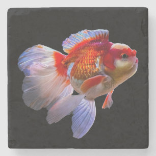 Goldfish mit schwarzem Hintergrund Steinuntersetzer