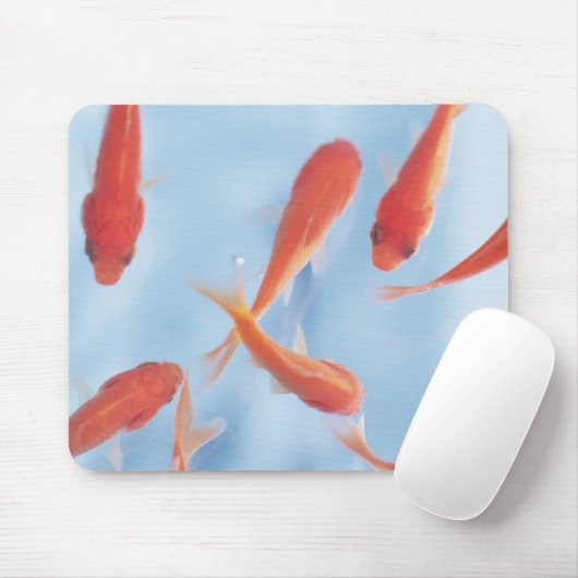 Goldfish Mousepad (Mit Mouse)