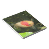 Goldfish Notepad Notizblock (angewinkelt)
