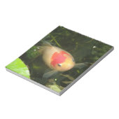 Goldfish Notepad Notizblock (Rotiert)
