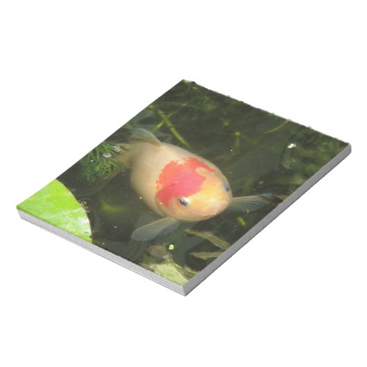 Goldfish Notepad Notizblock (Rotiert)