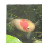 Goldfish Notepad Notizblock (Vorderseite)