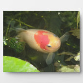 Goldfish Plaque Fotoplatte (Vorderseite)