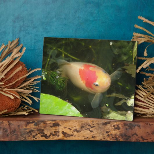 Goldfish Plaque Fotoplatte (Seite)