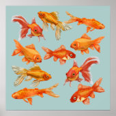 Goldfish Poster (Vorne)
