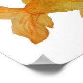 Goldfish Poster (Ecke)