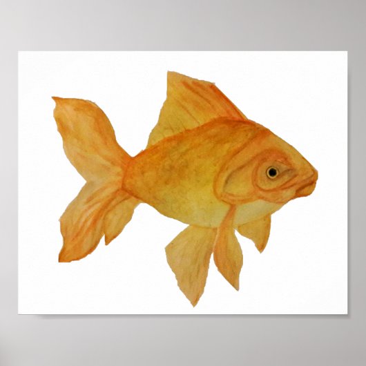 Goldfish Poster (Vorne)