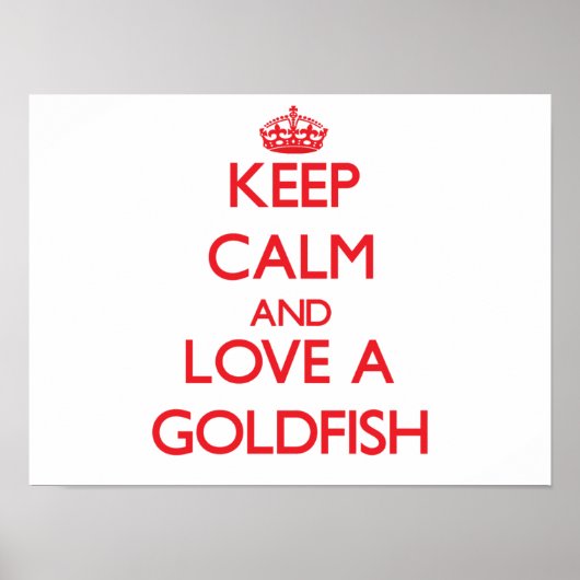 Goldfish Poster (Vorne)
