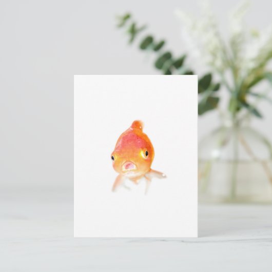 Goldfish Postkarte (Stehend Vorderseite)