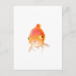 Goldfish Postkarte