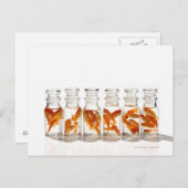 Goldfish Postkarte (Vorne/Hinten)