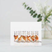 Goldfish Postkarte (Stehend Vorderseite)