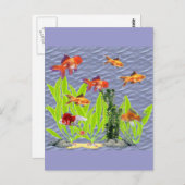 Goldfish Postkarte (Vorne/Hinten)