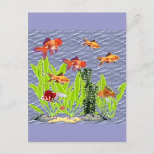 Goldfish Postkarte (Vorderseite)